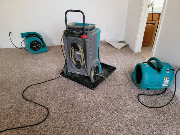 Best Water damage restoration cost  in Herington, KS