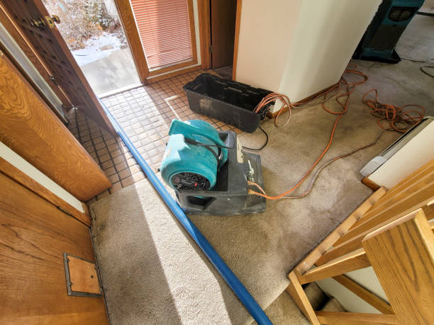Best Flooded house restoration  in Herington, KS