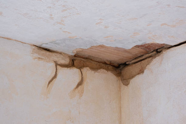 Best Carpet water damage restoration  in Herington, KS