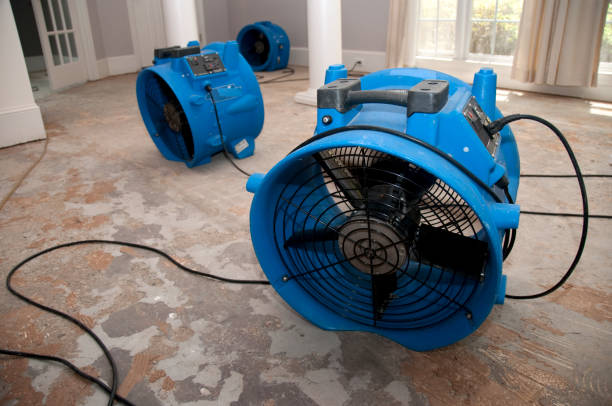Best Water damage cleanup near me  in Herington, KS