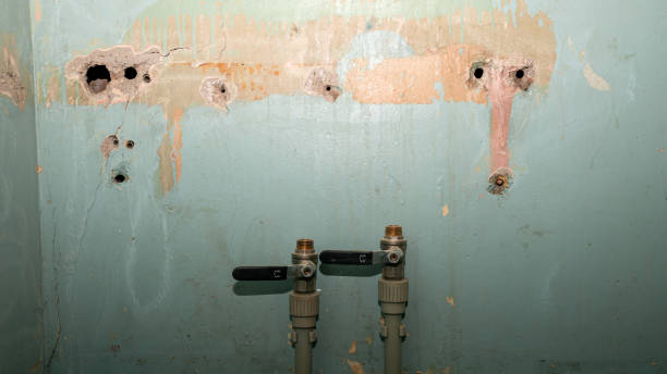 Best 24-hour water damage restoration  in Herington, KS