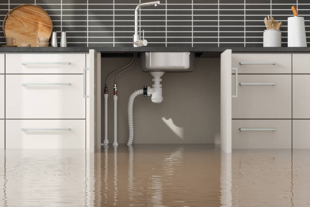 Best Local water damage restoration  in Herington, KS