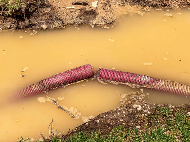 Best Residential water damage restoration  in Herington, KS