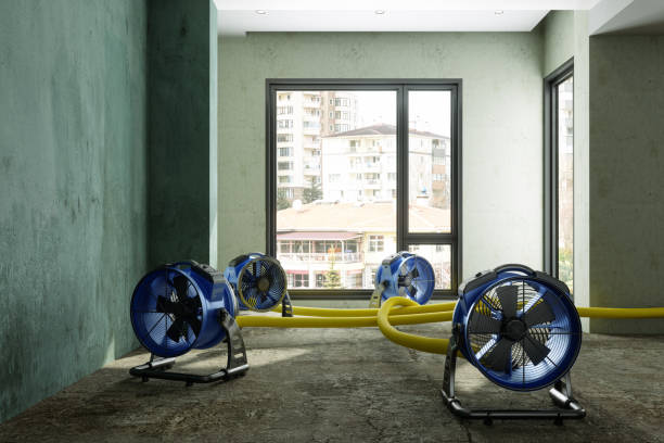Reliable Herington, KS Water damage restoration Solutions